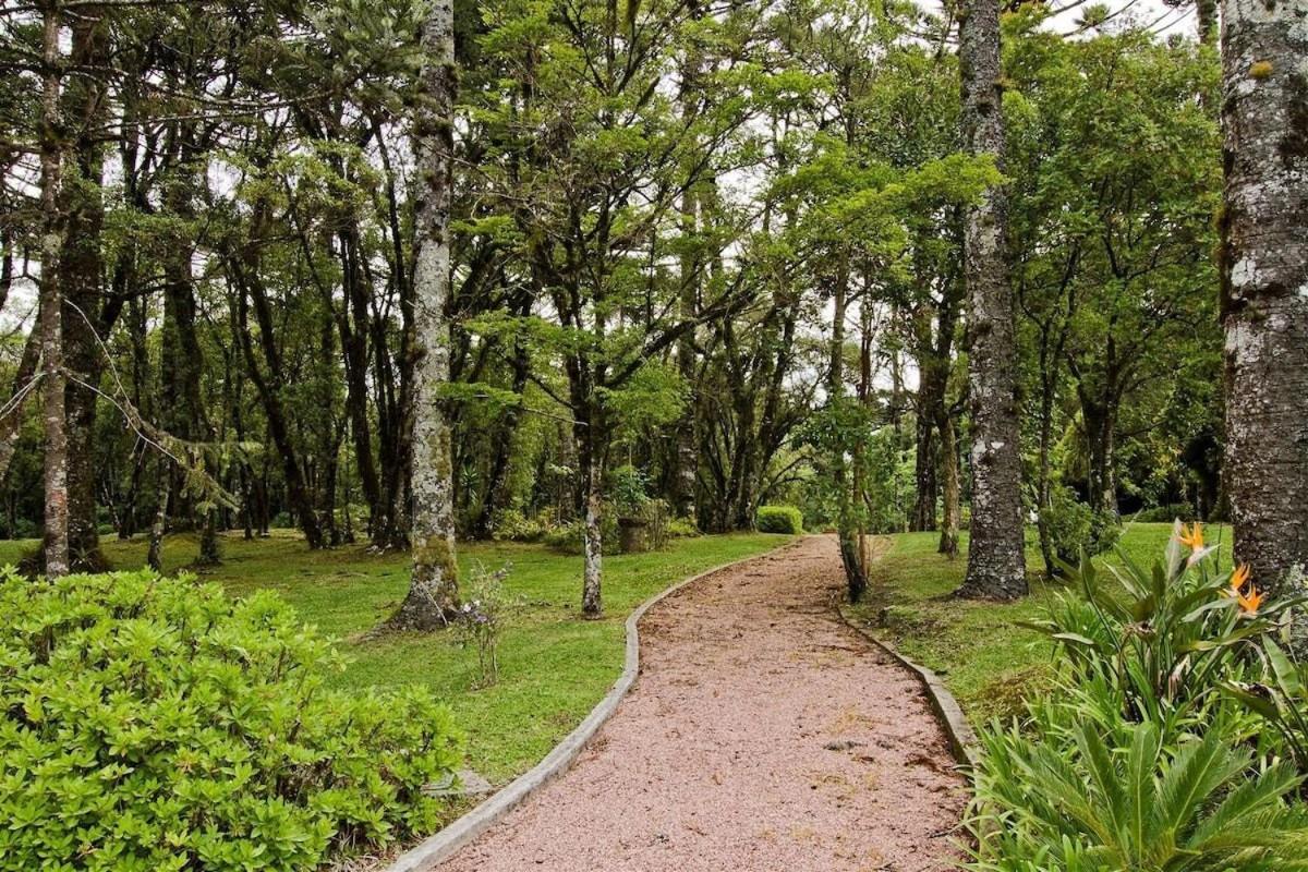 Presidencial Suite 3008 - Canela E Gramado Экстерьер фото